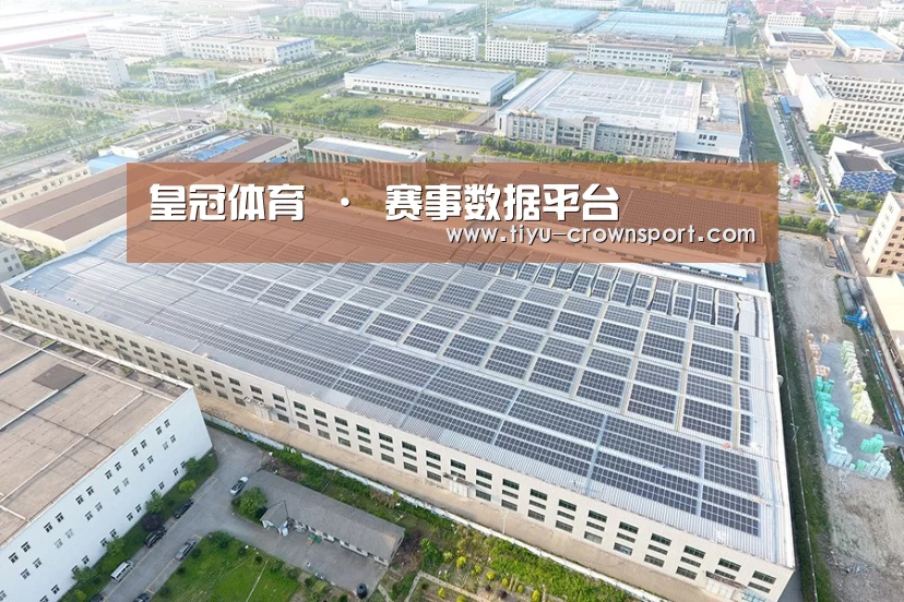 案例展示四